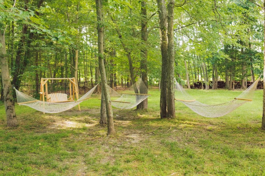 Wooded backyard with hammocks and swing